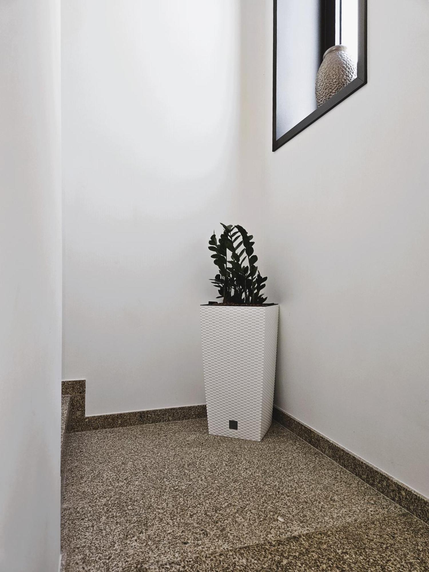 Appartement Casa Do Moinho à Cabeceiras de Basto Extérieur photo